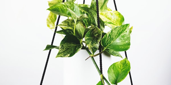 世界杯球星专访 - 梅西与C罗出席赛前发布会